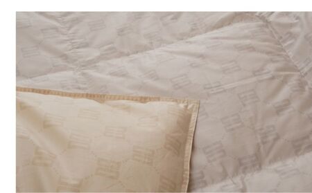 シングルサイズ羽毛肌掛けふとん　ダックス　DK521122Ｌ-3　寝具　ふとん　布団　羽毛　肌掛け布団　高級ふとん