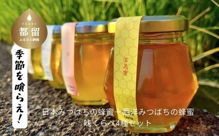 日本みつばちの蜂蜜＋西洋みつばちの蜂蜜食べ比べ4種セット 100ｇ×４　ハチミツ　はちみつ　ミツバチ　食べ比べ　ハチミツセット　パン　ヨーグルト