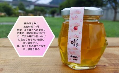 日本みつばちの蜂蜜＋西洋みつばちの蜂蜜食べ比べ4種セット 100ｇ×４ ハチミツ はちみつ ミツバチ 食べ比べ ハチミツセット パン ヨーグルト |  山梨県都留市 | ふるさと納税サイト「ふるなび」