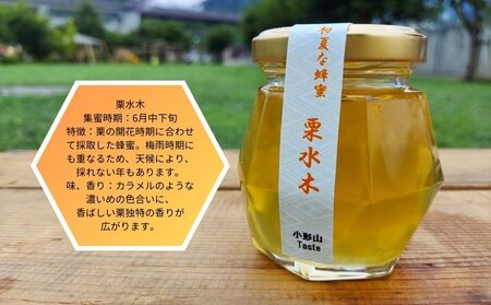 日本みつばちの蜂蜜＋西洋みつばちの蜂蜜食べ比べ4種セット 100ｇ×４　ハチミツ　はちみつ　ミツバチ　食べ比べ　ハチミツセット　パン　ヨーグルト