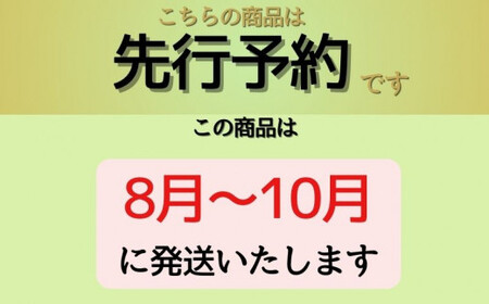 【2025年先行予約】　シャインマスカット500g以上（1房）　先行予約　ブドウ　ぶどう　葡萄　フルーツ　シャイン　シャインマスカット