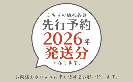 【2026年!先行予約】シャインマスカット500g以上(1房) シャインマスカット フルーツ