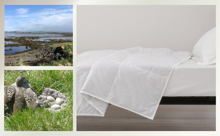 kokiku ダブル アイダー×GIZA 羽毛布団【肌掛け】アイスランドアイダー ダウン95％　寝具　羽毛　羽毛ふとん　ダウン　ダウン布団　ダウンふとん　ダブル布団　ダブルふとん　はだかけ　肌かけ　ダブル肌かけ　ダブルはだかけ　