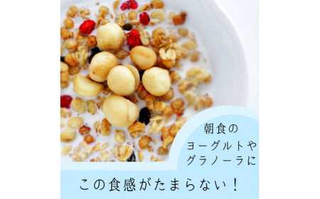 【大粒厳選！】煎りたて直送！ マカダミアナッツ1kg（300g×3パック＋おまけ100g）  送料無料 マカダミア ナッツ  おやつ 