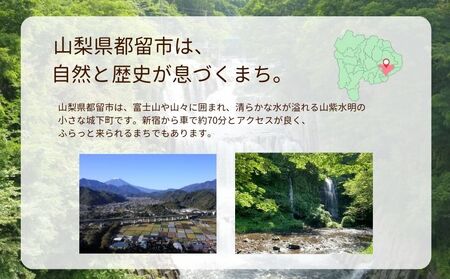 都留市エコハウスで移住体験　宿泊券（ペア）　1枚