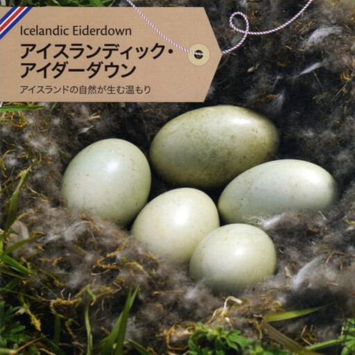 ダブル【アイダーダウン】羽毛布団ダブルサイズ190X210cm| 掛け布団 絹 シルク 【新津】