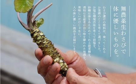 こだわり無農薬わさびセット わさび　ワサビ　山葵