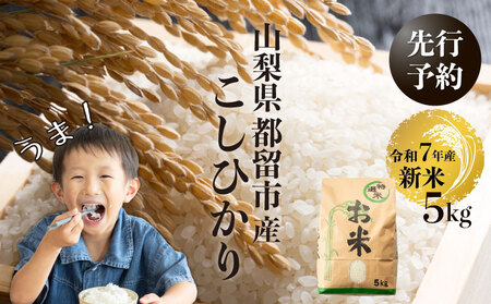 【令和７年産新米・予約】山梨県都留市産こしひかり[5kg]   こしひかり こめ 米 お米 新米 先行予約 
