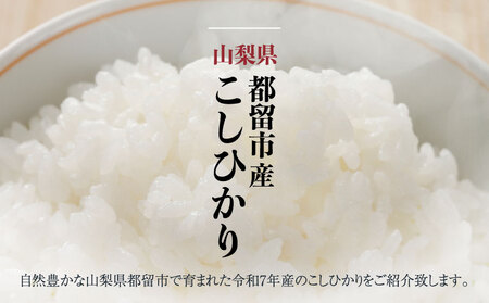 【令和７年産新米・予約】山梨県都留市産こしひかり[5kg]   こしひかり こめ 米 お米 新米 先行予約 