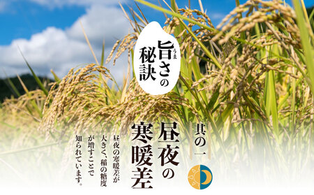 【令和７年産新米・予約】山梨県都留市産こしひかり[5kg]   こしひかり こめ 米 お米 新米 先行予約 