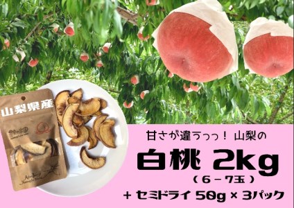 【フレッシュ果実&セミドライフルーツシリーズ】山梨県産 白桃大玉2kg(6~7玉) & セミドライ