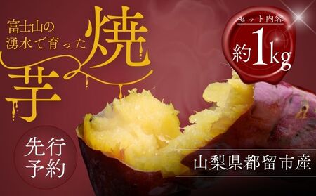 【先行予約】富士山の湧水で育った焼きいも