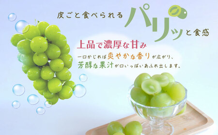 【2026年先行予約】シャインマスカット 2房　（約1.0kg）｜シャインマスカット フルーツ