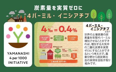 【2026年先行予約】シャインマスカット  3-4房　（約2.0kg）｜シャインマスカット フルーツ