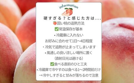 【2026年　先行予約】日本一の産地山梨県産　朝採れカターい桃２Kg（5～8房）｜先行 先行予約 ２０２６年　山梨 桃 もも モモ 硬い桃 固い桃 フルーツ
