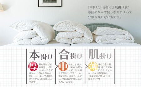 【シングル】【本掛け】羽毛掛けふとん　ソフラーノ　マシュマロタッチ・保温性・フィット性・快適性　（150cm×210cm）