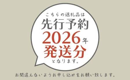 【期間限定】【数量限定】 シャインマスカット スペシャルサンクス 約1.2kg（2～3房）【2026年先行予約】 |フルーツ シャインマスカット