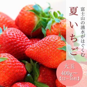 【2026年 先行予約】【湧水のミネラルたっぷり！山梨の夏秋いちご】 大玉１２～１６粒入り(400g～)