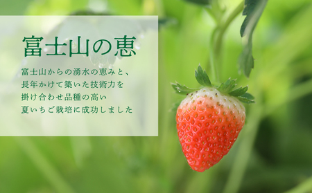 【2026年 先行予約】【湧水のミネラルたっぷり！山梨の夏秋いちご】 大玉１２～１６粒入り(400g～)