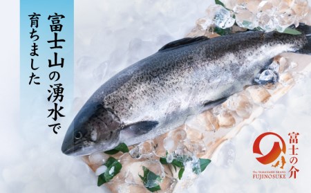 富士の介お刺し身セット|サーモン ニジマス 刺身  お刺身 魚 カルパッチョ