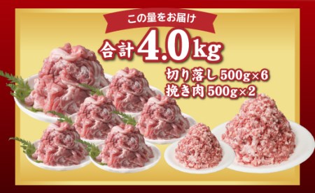 幻の銘柄豚 富士湧水ポーク 切り落としと挽肉のガッツリ盛りセット 4.0kg