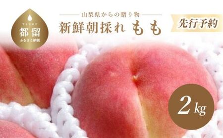 【2023年 先行予約】日本一の産地山梨県産　朝採れ桃２kg(５～９玉）　数量限定