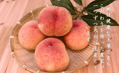 【2024年 先行予約】日本一の産地山梨県産　朝採れ桃２kg(５～８玉）