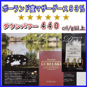 訳あり 羽毛布団 シングル ポーランド産マザーグース93% ダウンパワー440 掛け布団 CK356