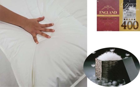 羽毛掛け布団 クィーンイングランド産ホワイトダウン93% ダウンパワー400 羽毛布団 CK344