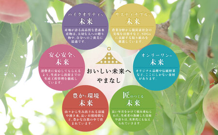 日本一の産地 山梨県産　朝採れ桃 約1.5kg 以上(５～７玉）【2026年 先行予約】もも フルーツ