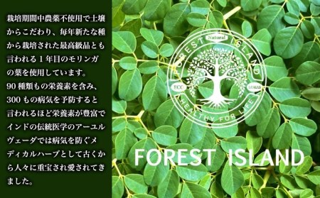 モリンガティー・モリンガパウダー【FOREST ISLAND】｜ 無添加 モリンガパウダー モリンガ 粉末 モリンガ茶 国産モリンガ バージンモリンガ