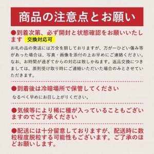 【2026年先行予約】山梨県産　シャインマスカット 約1.1kg (２房～3房)　山梨　都留市　フルーツ　シャインマスカット　シャイン　葡萄　ブドウ　ぶどう　デザート】