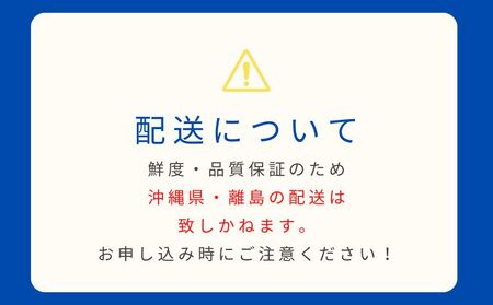 【2025年先行予約】【山梨県都留市ふるさと納税】クール便配送　山梨県産シャインマスカット1.2kg(2～3房)　都留市、シャンマスカット、贈答、プレゼント、先行予約、クール便 ぶどう　葡萄　ブドウ　おやつ　高級フルーツ　フルーツ　社員　シャイン