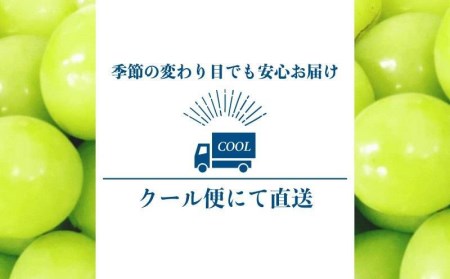 【2025年先行予約】【山梨県都留市ふるさと納税】クール便配送　山梨県産シャインマスカット1.2kg(2～3房)　都留市、シャンマスカット、贈答、プレゼント、先行予約、クール便 ぶどう　葡萄　ブドウ　おやつ　高級フルーツ　フルーツ　社員　シャイン