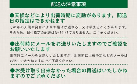 【2025年先行予約】【山梨県都留市ふるさと納税】クール便配送　山梨県産シャインマスカット1.2kg(2～3房)　都留市、シャンマスカット、贈答、プレゼント、先行予約、クール便 ぶどう　葡萄　ブドウ　おやつ　高級フルーツ　フルーツ　社員　シャイン