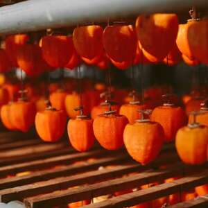 こだわりの製法で作りあげた 甲州名産『あんぽ柿』 約700g【1251103】