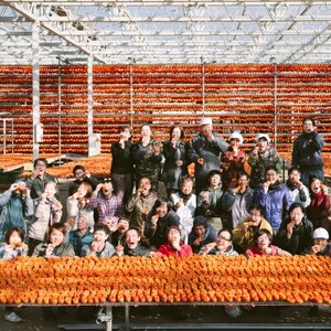 こだわりの製法で作りあげた 甲州名産『あんぽ柿』 約700g【1251103】