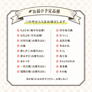 【発送月固定定期便】桃好きさん、集まれ~!個性ある3種のももが楽しめる全3回【配送不可地域:離島・沖縄県】【4005028】