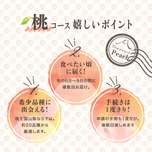 【発送月固定定期便】桃好きさん、集まれ~!個性ある3種のももが楽しめる全3回【配送不可地域:離島・沖縄県】【4005028】