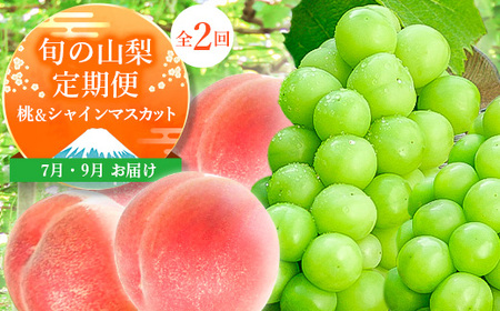 【発送月固定定期便】山梨の人気フルーツ!桃とシャインマスカットの定期便 全2回【配送不可地域：離島・沖縄県】【4005029】