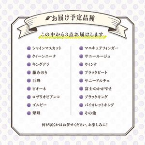 【発送月固定定期便】葡萄好きさん、集まれ～!人気のフルーツぶどうの定期便全3回【配送不可地域：離島・沖縄県】【4005030】