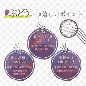 【発送月固定定期便】葡萄好きさん、集まれ～!人気のフルーツぶどうの定期便全3回【配送不可地域：離島・沖縄県】【4005030】