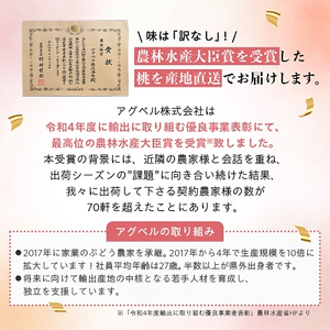 【2025年先行受付】【訳あり】桃5～9玉2kg以上【配送不可地域：離島】【1456742】