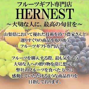 【2026年度先行受付】山梨県山梨市産　シャインマスカット　～SWEET JEWELRY～　20粒【配送不可地域：離島】【1459686】