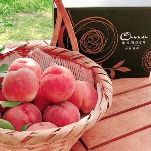 【一流レストラン御用達】リピーターNo.1樹上完熟桃ギリギリ限界まで完熟2026年6月下旬より発送【配送不可地域：離島・北海道・沖縄県・中国・四国・九州】【1424194】