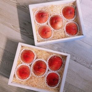 【一流レストラン御用達】リピーターNo.1樹上完熟桃ギリギリ限界まで完熟2026年6月下旬より発送【配送不可地域：離島・北海道・沖縄県・中国・四国・九州】【1424194】