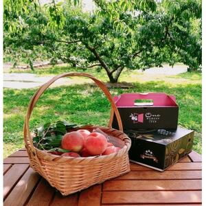 【一流レストラン御用達】リピーターNo.1樹上完熟桃ギリギリ限界まで完熟2026年6月下旬より発送【配送不可地域：離島・北海道・沖縄県・中国・四国・九州】【1424194】