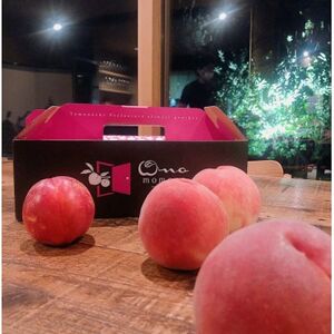 【圧倒的なTV出演実績】メディア出演に裏打ちされた『樹上完熟ブランド桃』2026年7月中旬より発送【配送不可地域：離島・北海道・沖縄県・中国・四国・九州】【1459996】