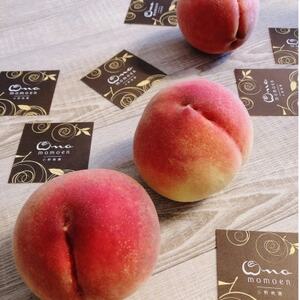 【見逃し厳禁】今逃せば1年待ち5連続TV出演『樹上完熟ブランド桃』2026年7月下旬より発送【配送不可地域:離島・北海道・沖縄県・中国・四国・九州】【1459997】