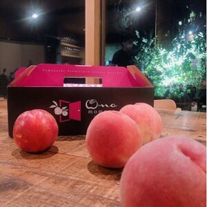 【もう戻れない】リピーター続出中一度食べたらやみつき『樹上完熟ブランド桃』2026年8月上旬より発送【配送不可地域：離島・北海道・沖縄県・中国・四国・九州】【1459998】